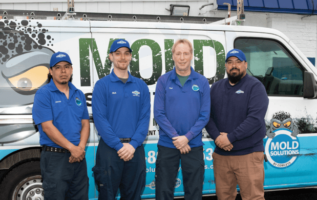 Images Mold Solutions by Cowleys