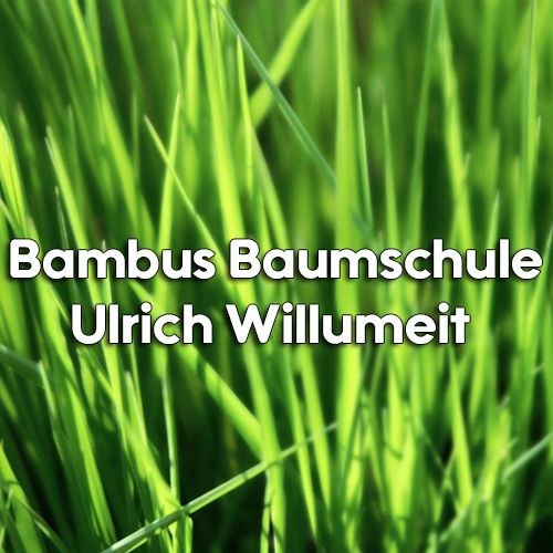 Bambus-Baumschule Ulrich Wilumeit in Darmstadt