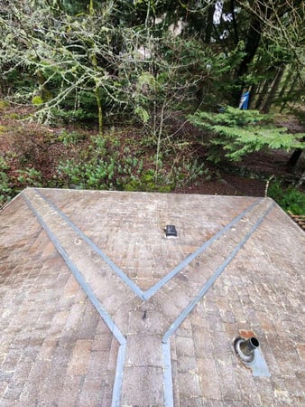 Images NJM Roof & Gutter Cleaning