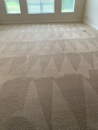Images Fresh Carpet Clean Houston