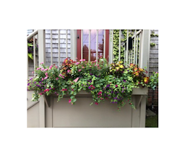 Images Deborah L. Wilson Garden Services LLC