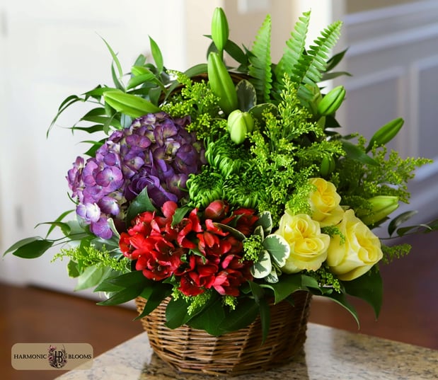 Images Harmonic Blooms