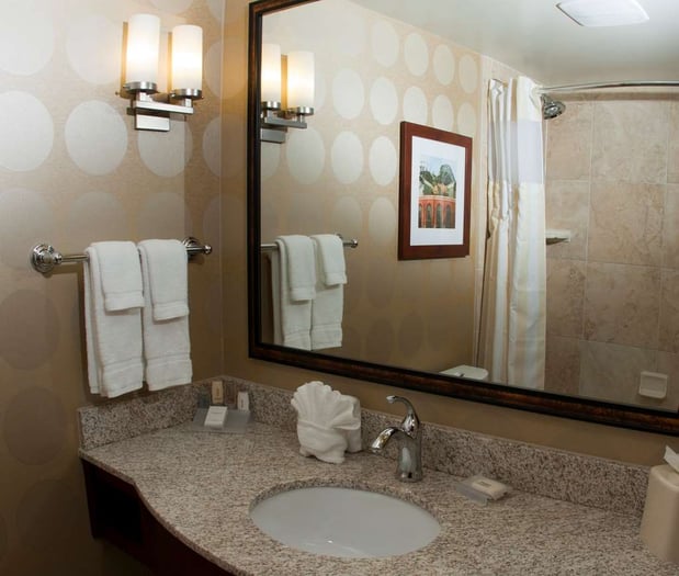 Images Hilton Garden Inn Milwaukee Airport