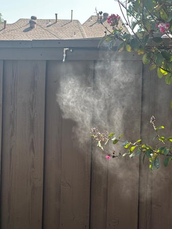 Images Home Run Pest & Termite Control