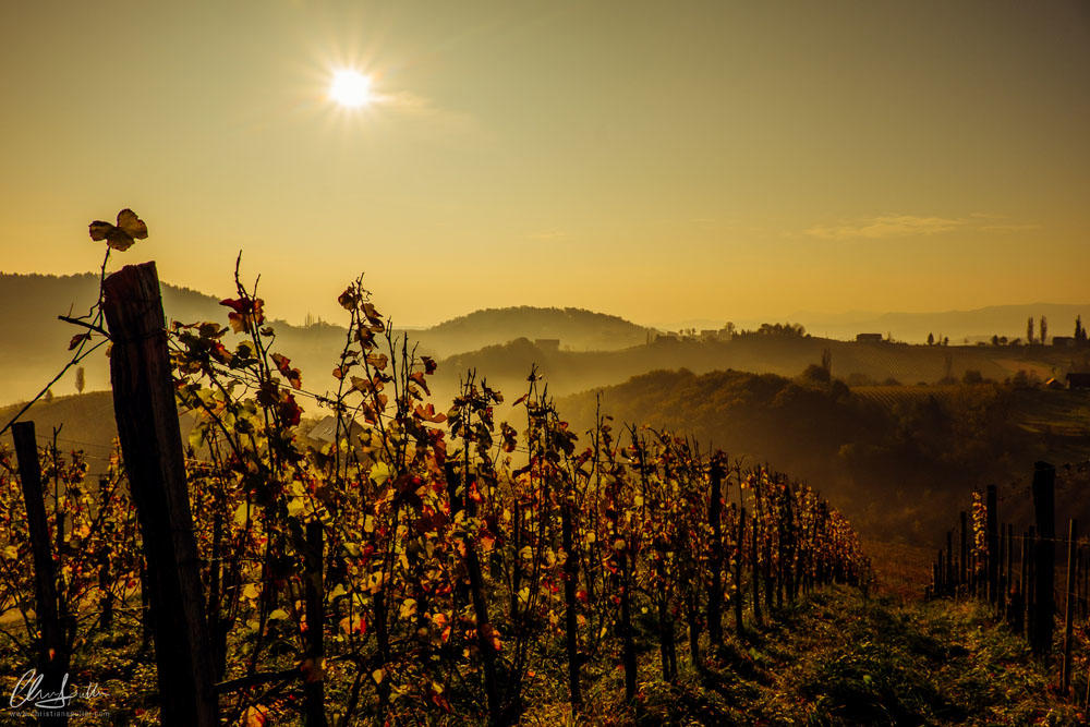 Weingut Wirtshaus Weinhotel Wolfgang Maitz, Ratsch 45 in Ehrenhausen an der Weinstraße