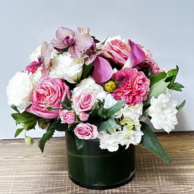 Images Jane's Roses & Flowers