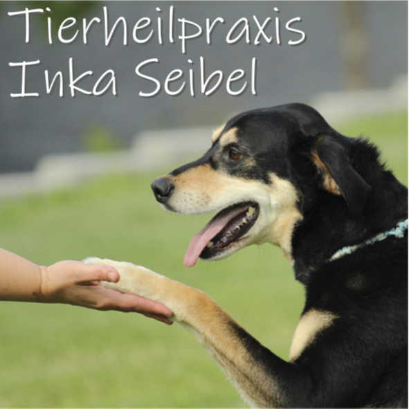 Logo Tierheilpraxis Inka Seibel