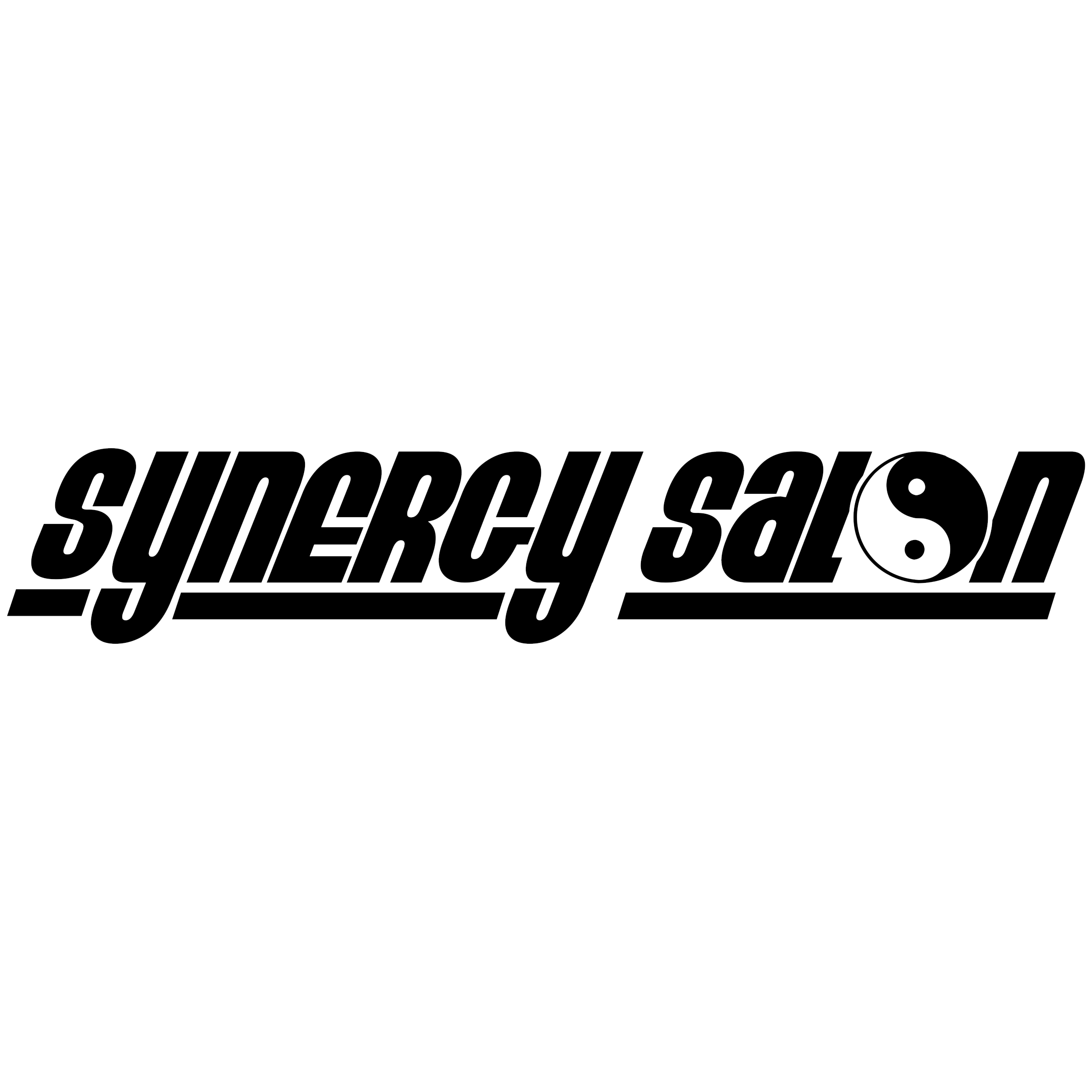 Synergy Salon, Inc.