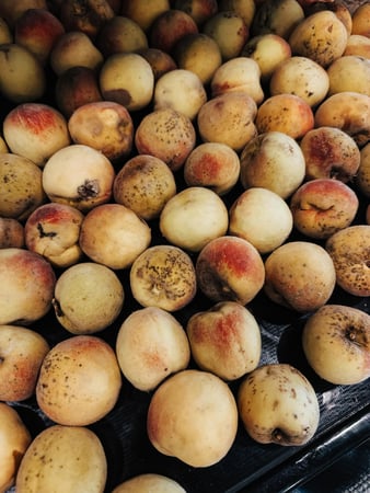 Images Oliver Coffee Co