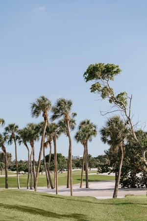 Images Links on Longboat