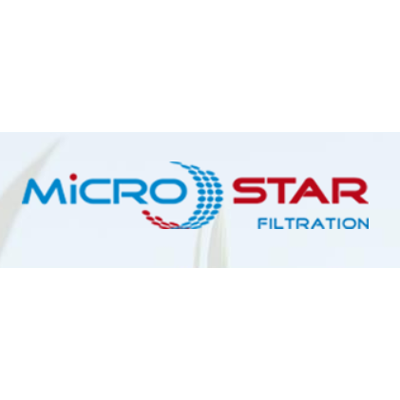 Micro Star Logo
