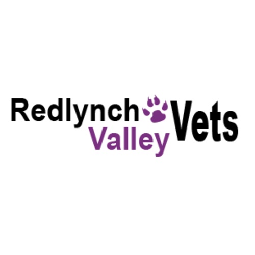 Redlynch Valley Vets Logo