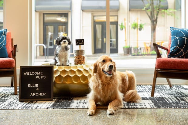 Images Hotel Indigo Winston-Salem Downtown by IHG