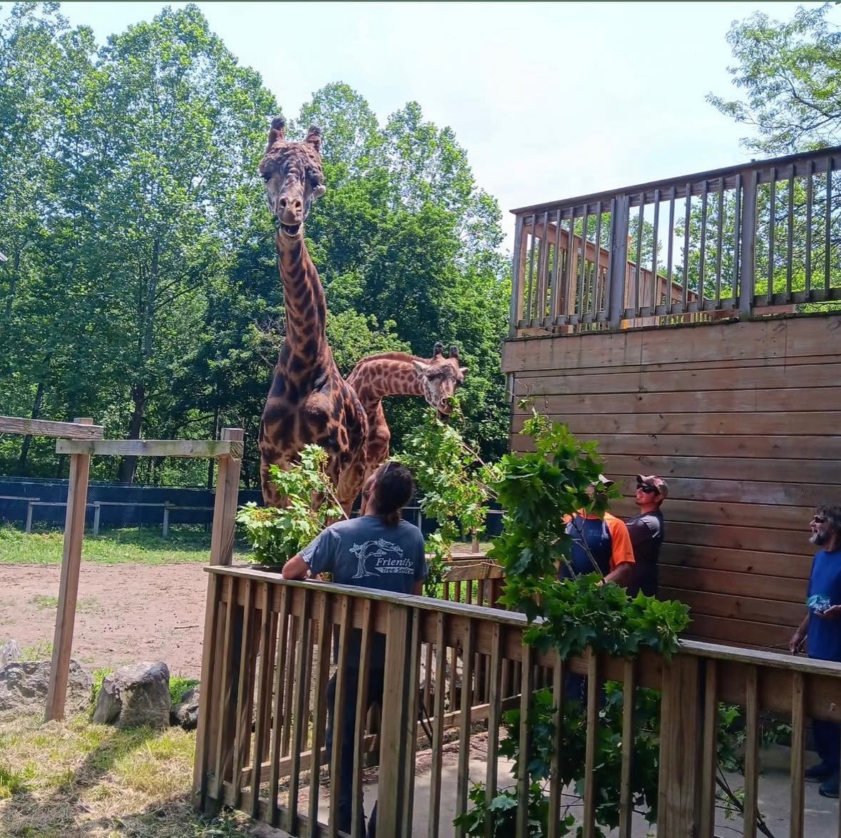 Friendly Tree Service Inc Image