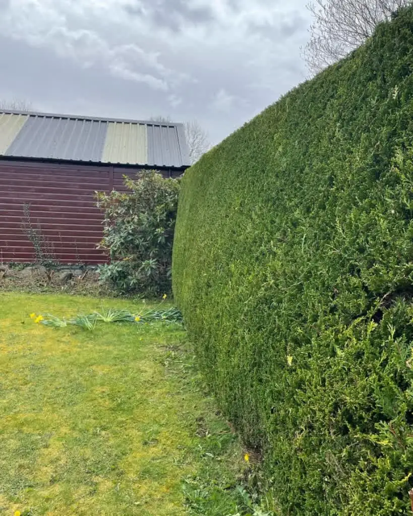 Images Star Fencing and Landscaping