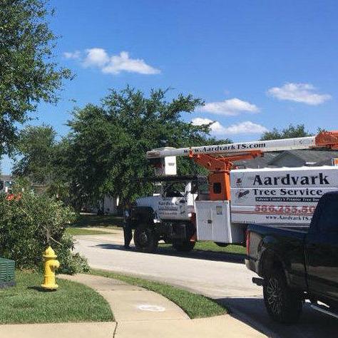 Aardvark Tree Services, LLC Photo