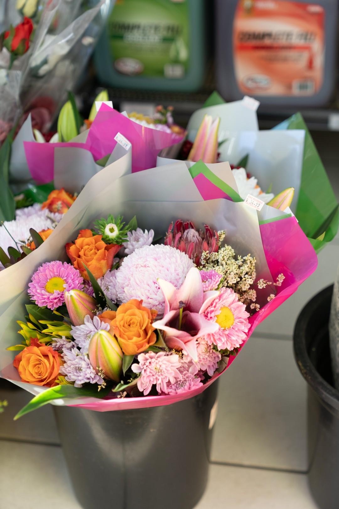 Images SPEEDWAY MEADOWS