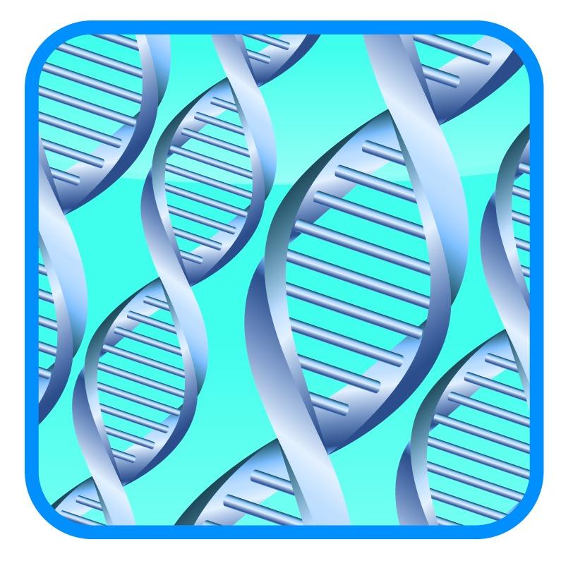 Family dna. DNA ca250. DNA Paternity. DNA Center. Ohio Paternity Testing.