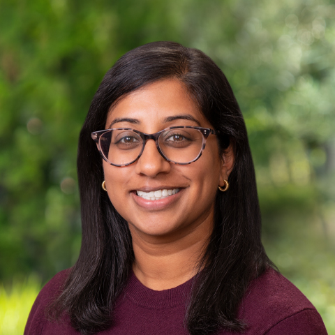 Milani K. Sivagnanam