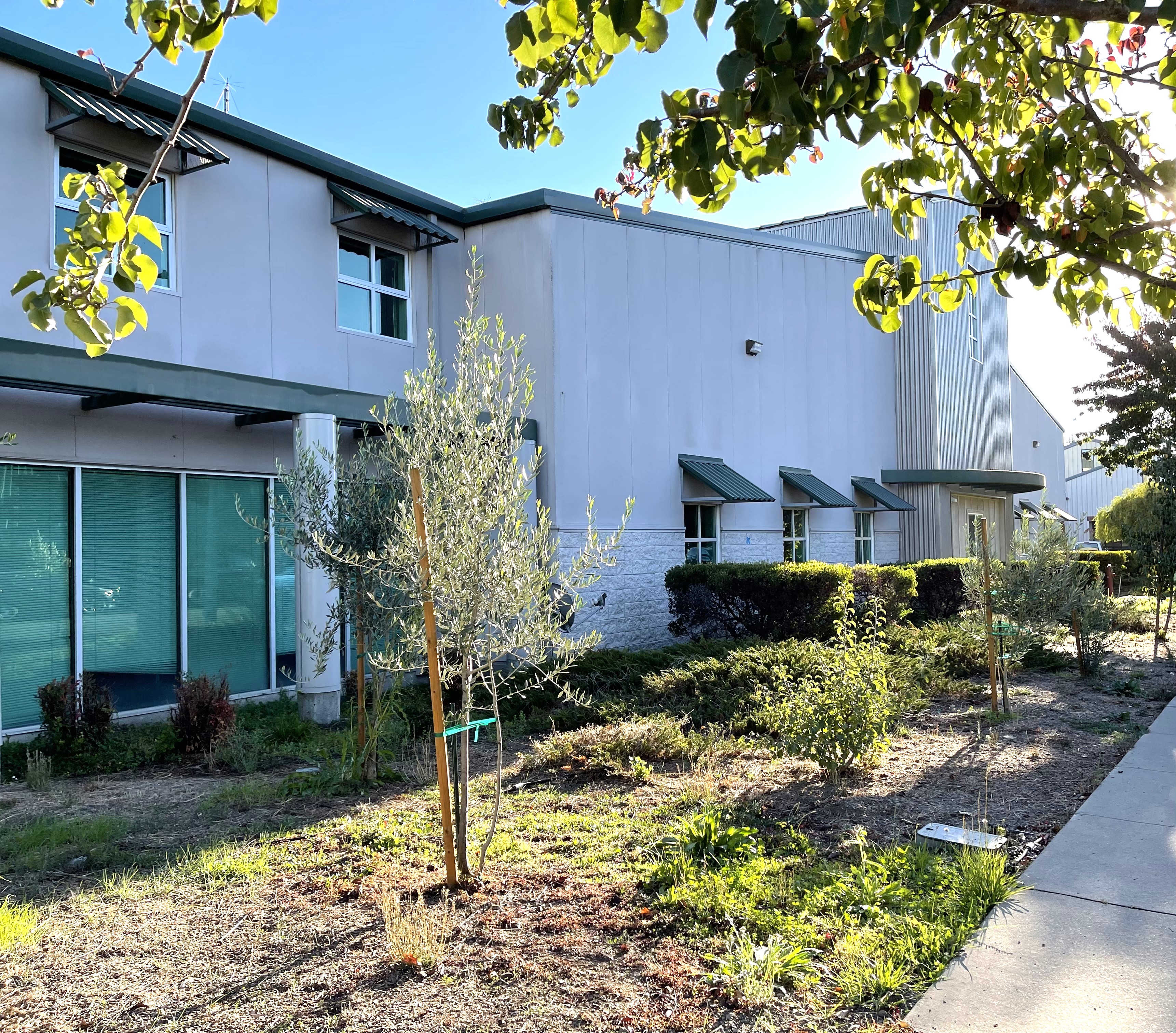 View of the side of SERVPRO office  in  Petaluma/Rohnert Park/Santa Rosa, located at 373 Blodgett St in Cotati, California. It is situated in an industrial neighborhood and provides damage restoration services to the surrounding community.