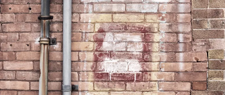 Bild 6 Carsten Schaper Dachdeckermeister in Lamspringe