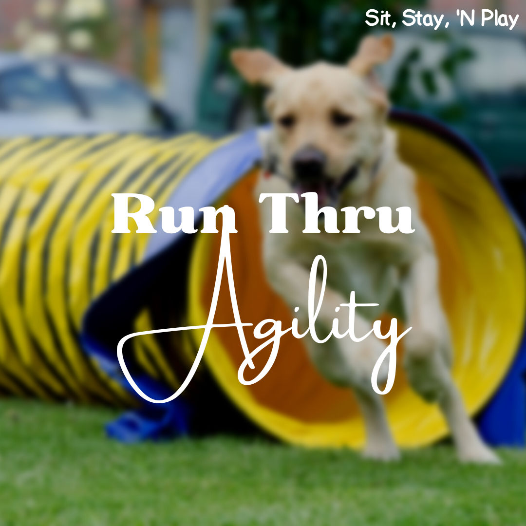 Best Dog Training And Pet Supply Store In Stroudsburg, PA