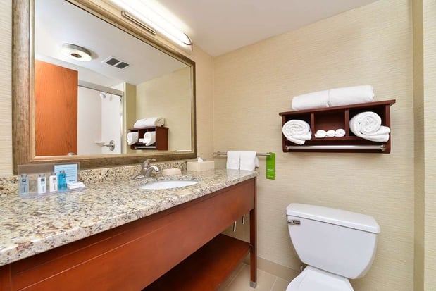 Images Hampton Inn Detroit/Auburn Hills South