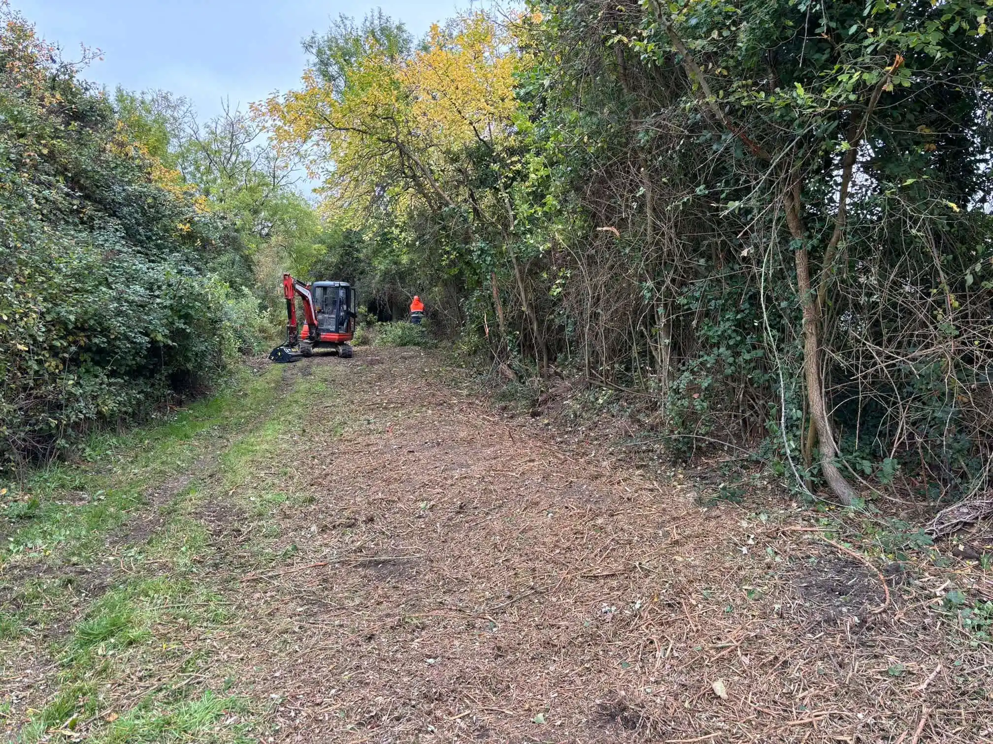 Images JR Childs & Son Plant