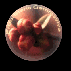 Erboristeria Gemmaviva Logo