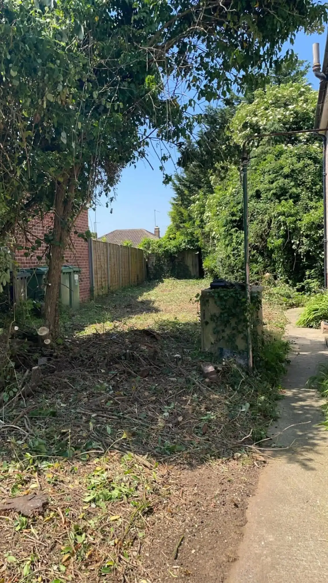 Images Oakwood Tree & Landscaping Services