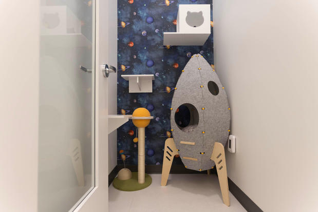 Images Cozy Cat Suites