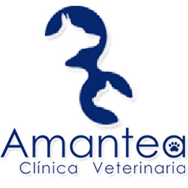 Clínica Veterinaria Amantea Logo