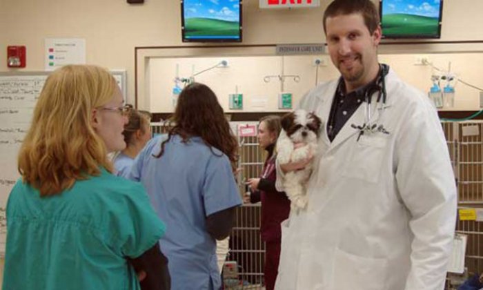 Image 6 | Katonah Bedford Veterinary Center