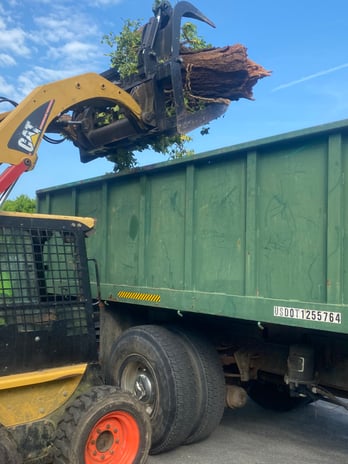 Images Fine Cut & Trim