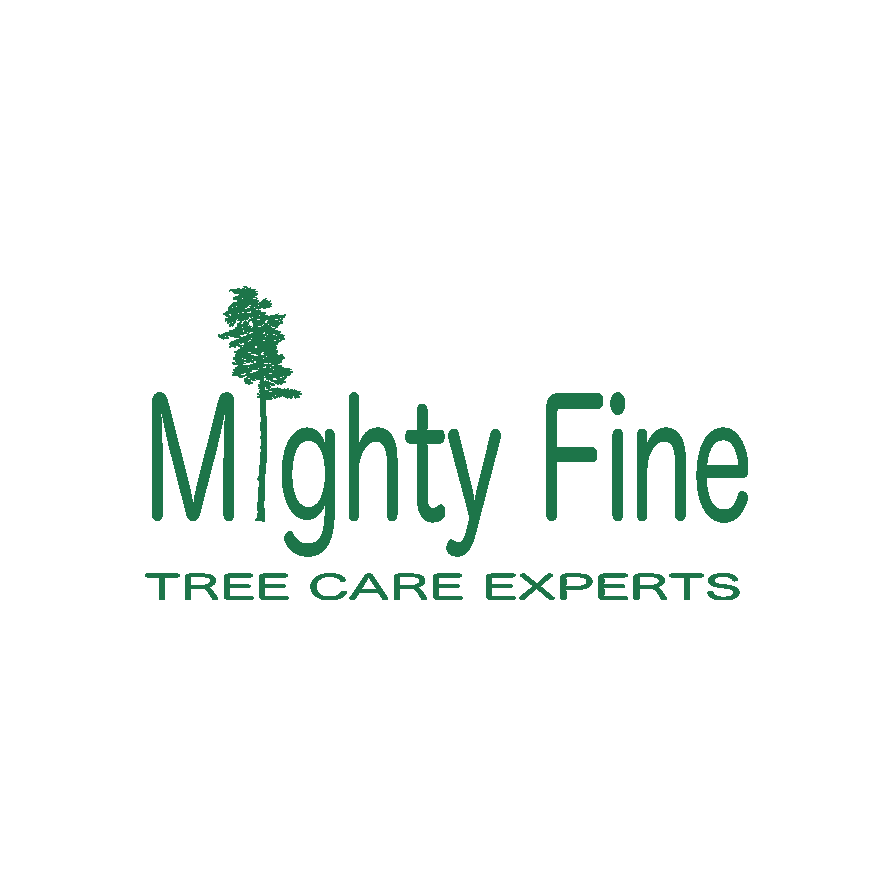 Mighty Fine Tree Care