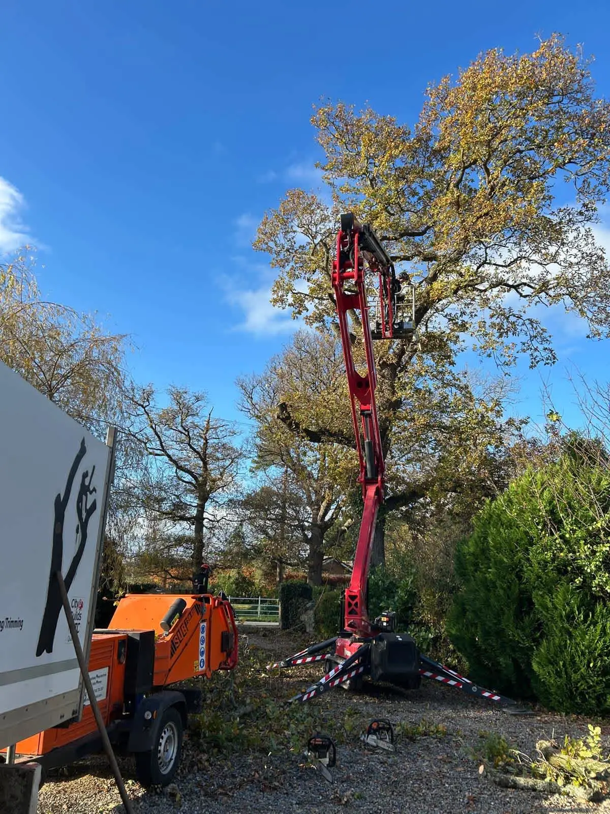 Images Impact Tree Services