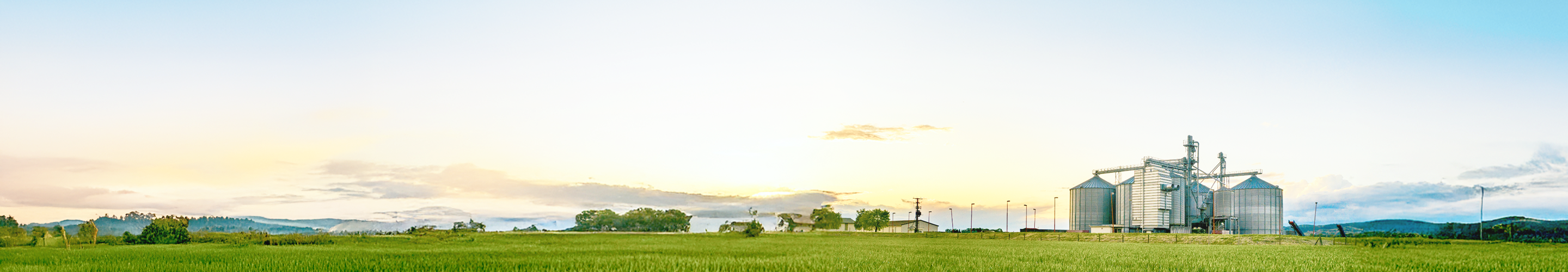 A serene scene of a farm at sunrise.