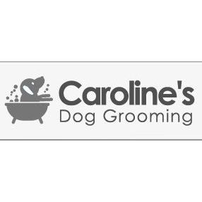 LOGO Caroline's Dog Grooming Bathgate 07713 029539