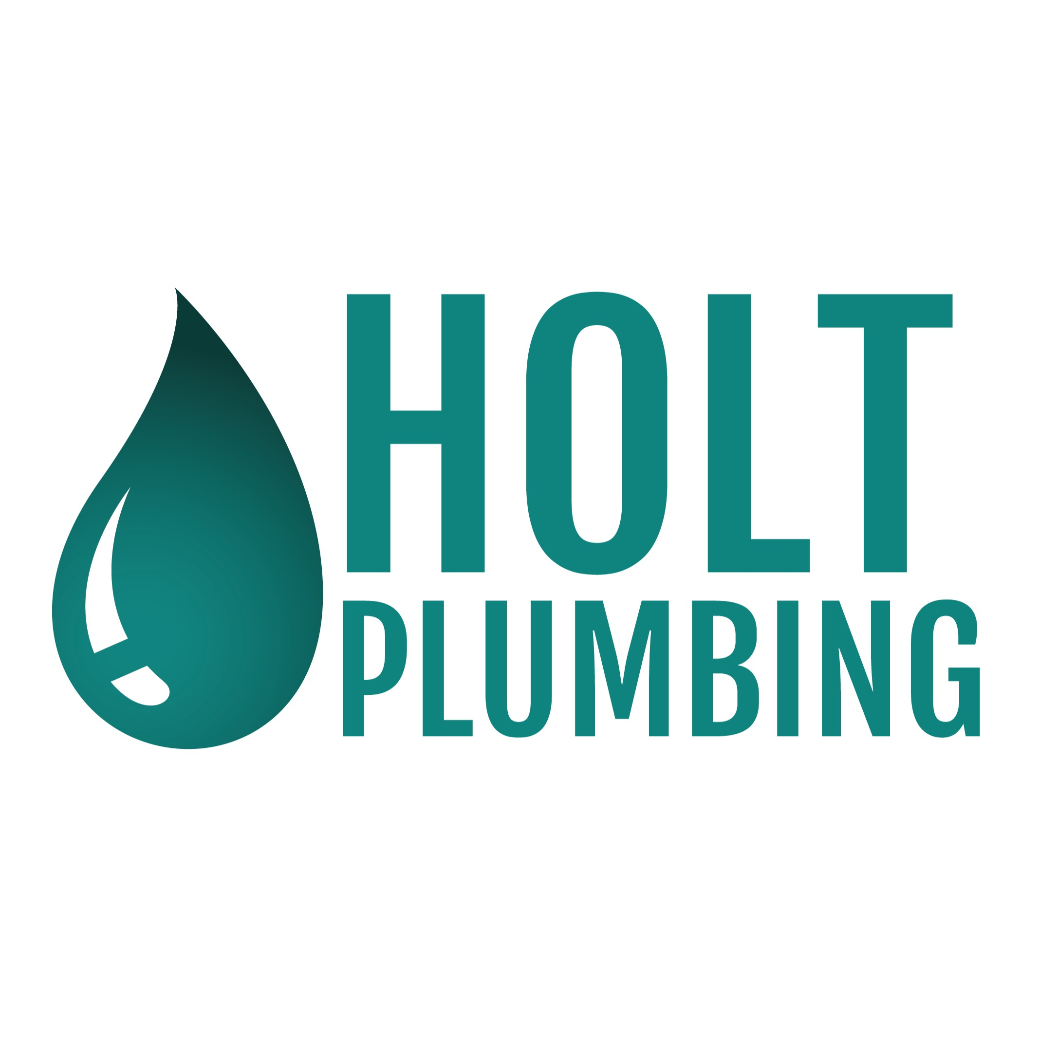 Holt Plumbing Logo