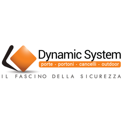 Dynamic System Logo