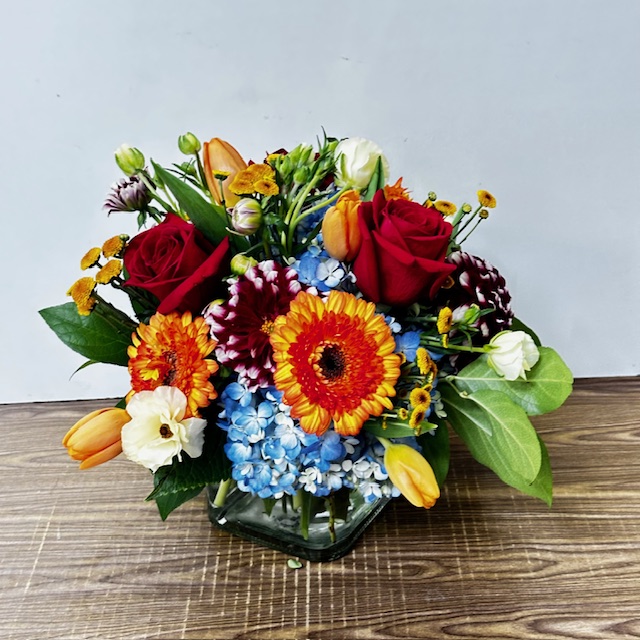 Images Jane's Roses & Flowers