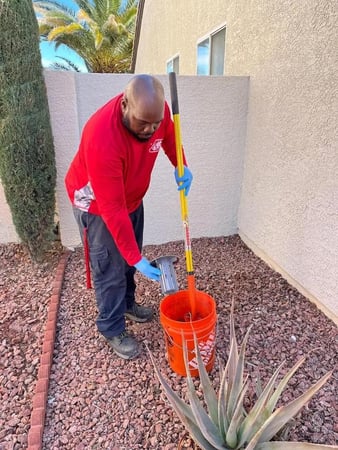 Images Las Vegas Pest Control