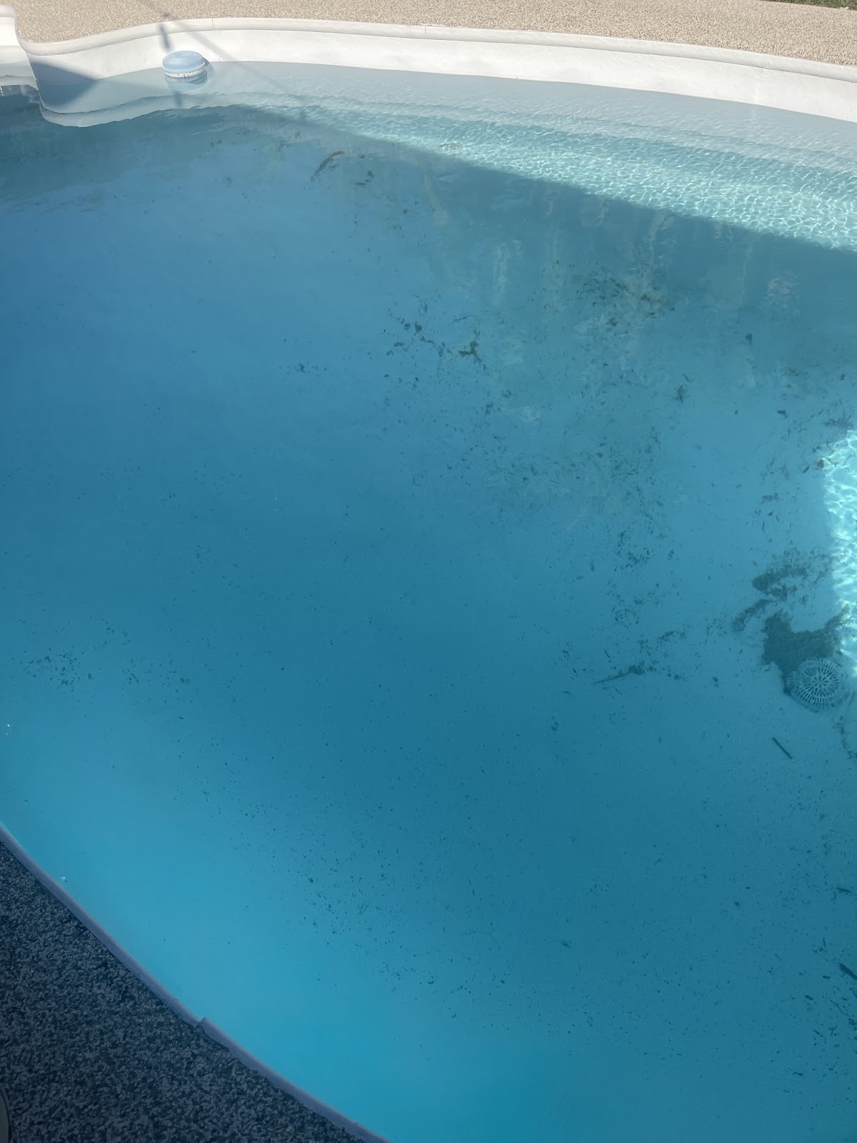Close-up of a residential swimming pool with blue water and visible debris or staining along the pool floor and wall.