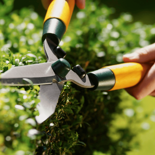 Images Gribskov Naturpleje