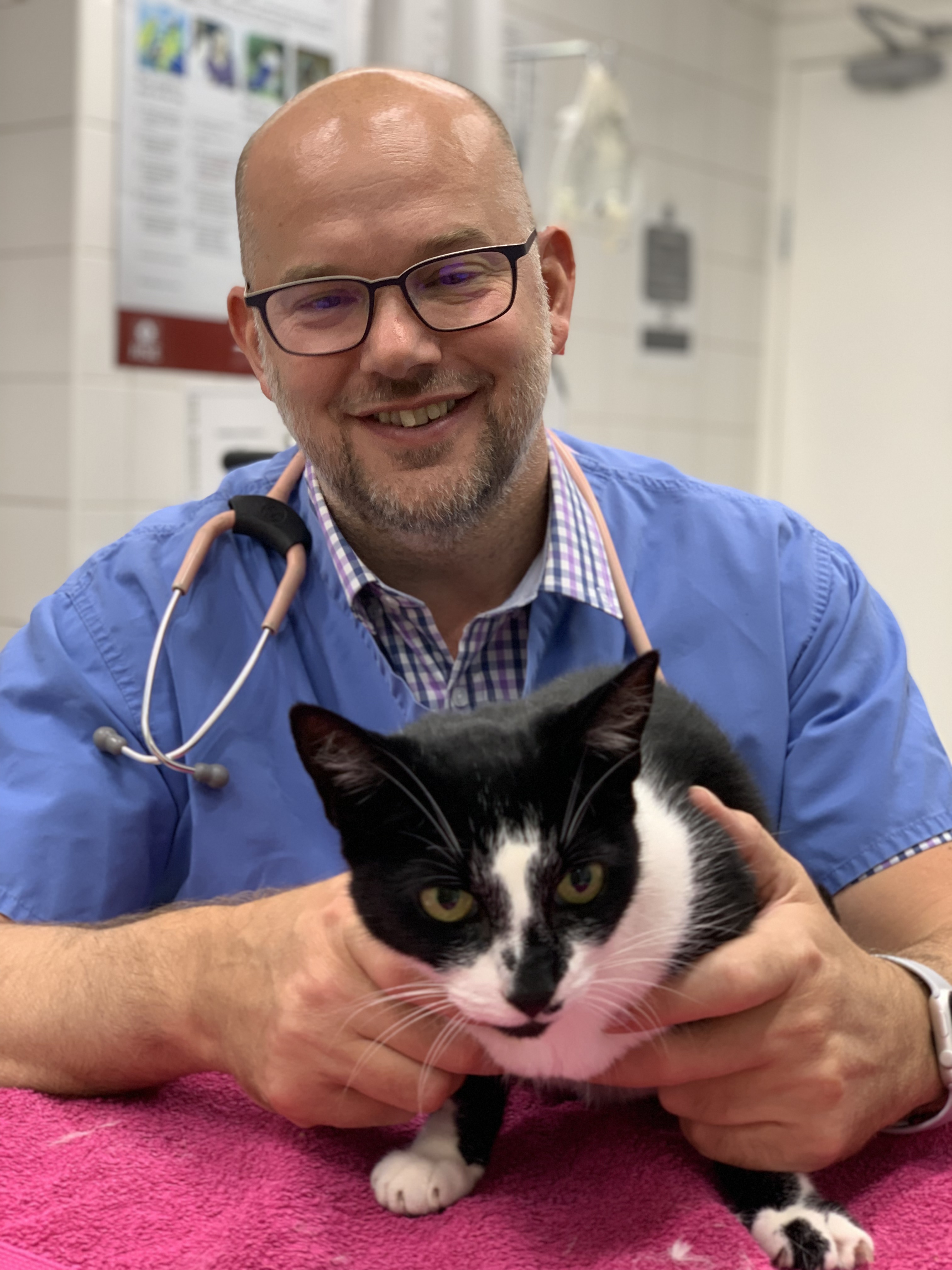 Images Streatham Hill Veterinary Surgery