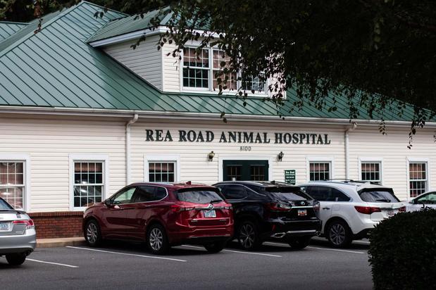 Images Rea Road Animal Hospital