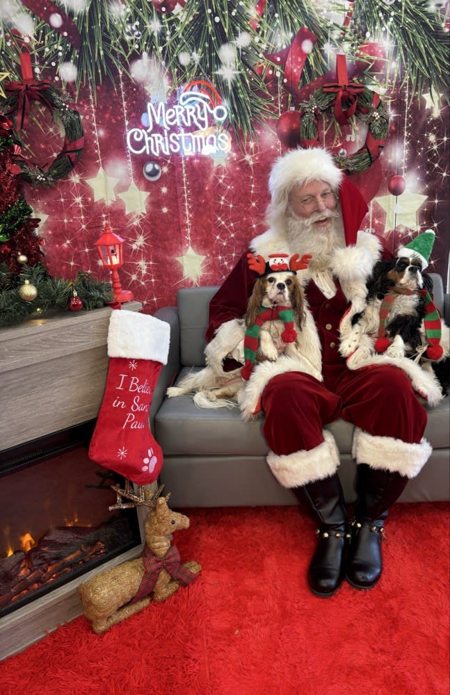 The Dog Stop - Katy Image