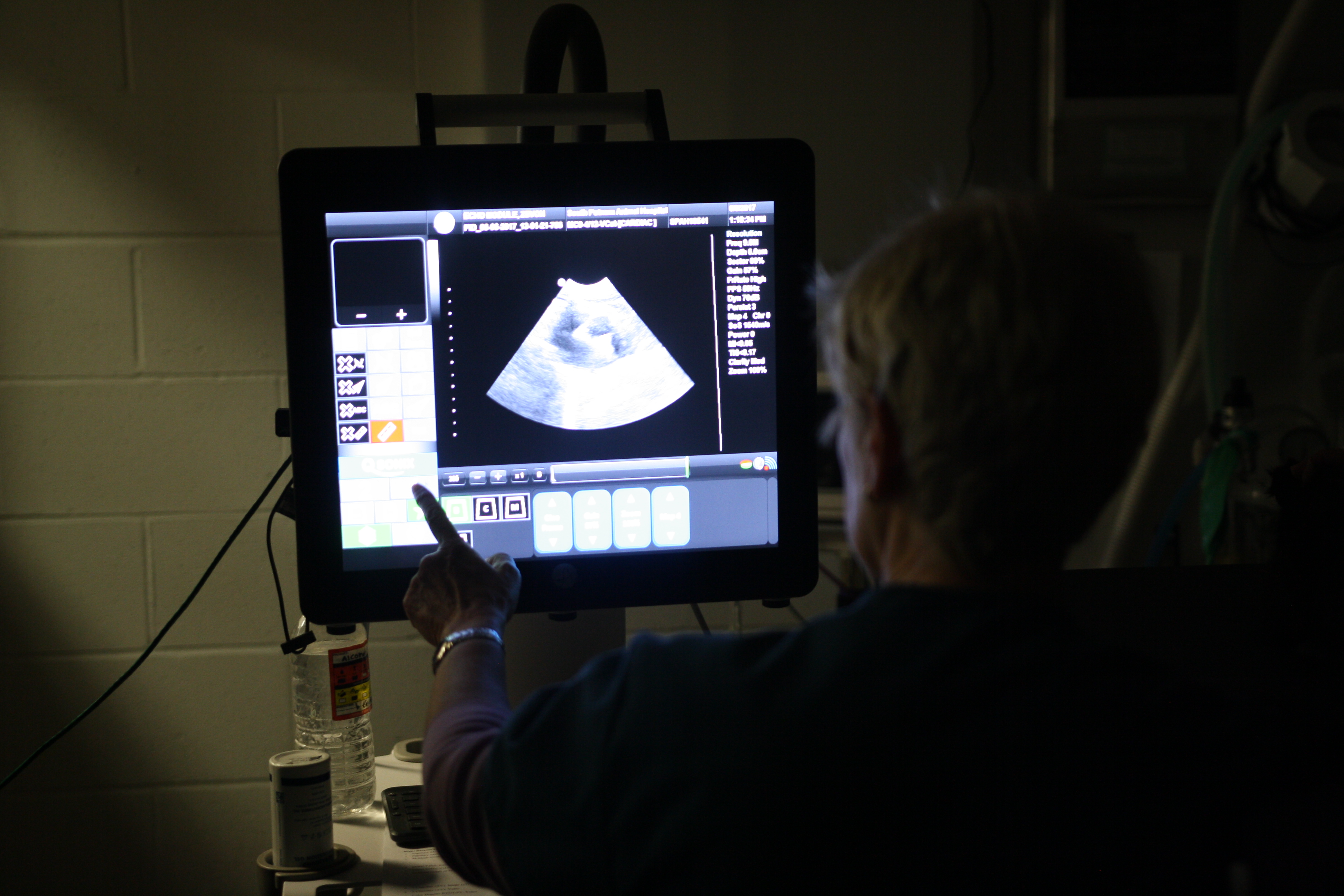 Here Dr. Heiber is analyzing an ultrasound to evaluate a pet's internal organs. Our facilities are fully equipped with the technology and equipment to help out doctors perform accurate and efficient diagnostics for a wide range of conditions.