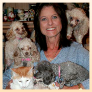 Hill Country Pet Sitters Plus