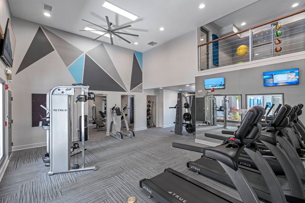 Images Vue Tampa Student Housing